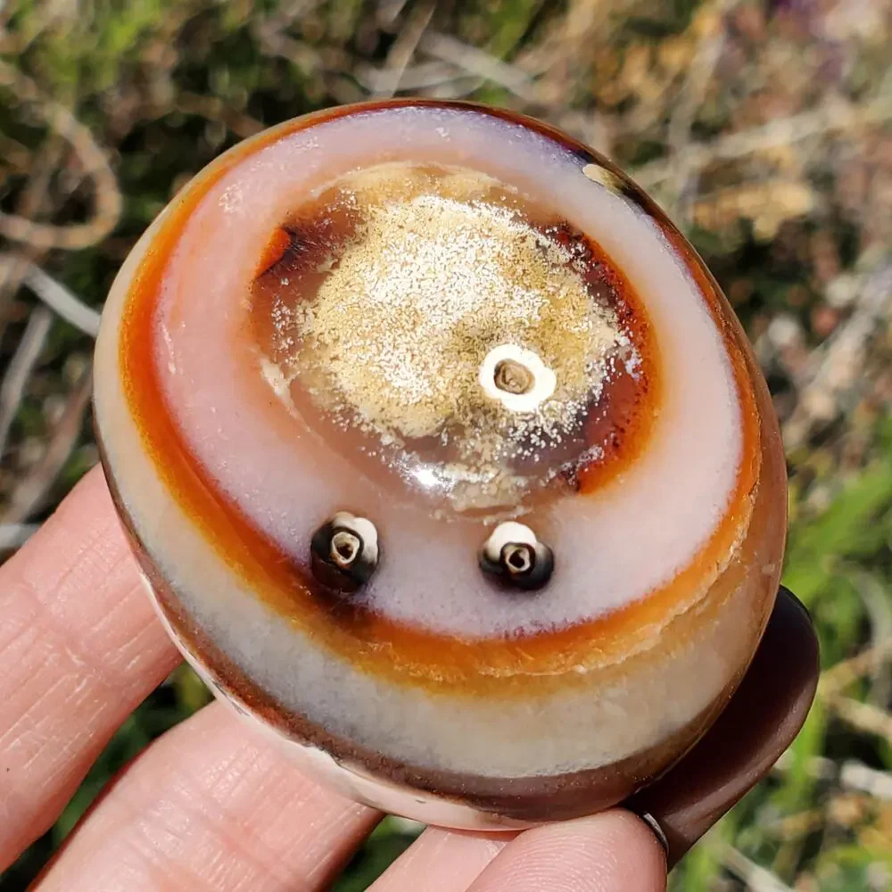Eyes on Back Orca Agate Carnelian Stone Crystal UNIQUE Palmstone 180 grams
